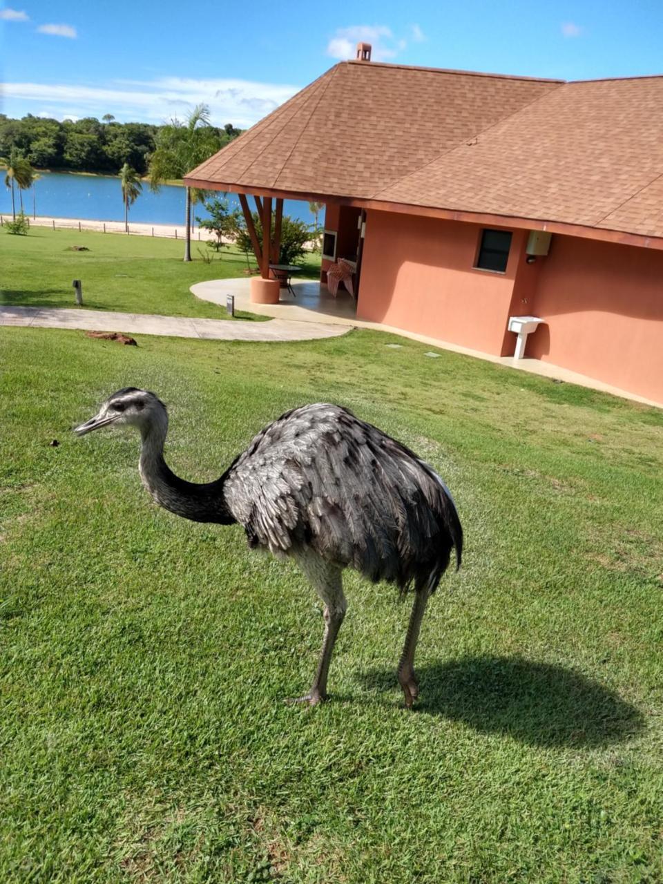 Malai Manso Cotista - Resort Acomodacoes 4 Hosp (Adults Only) Retiro  Экстерьер фото